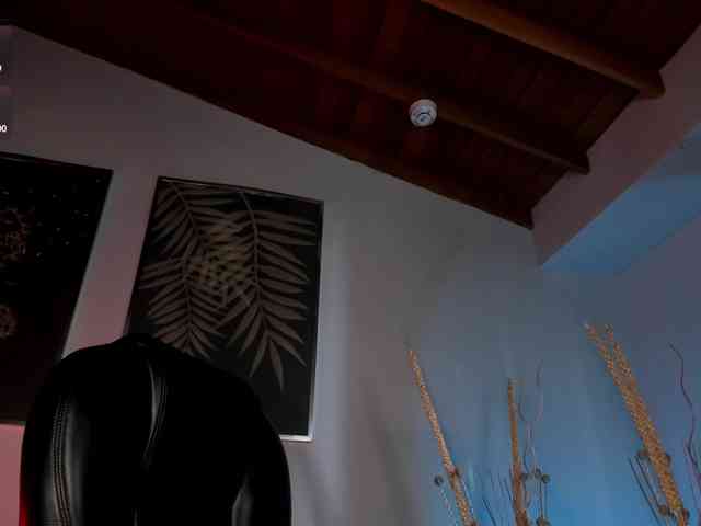 live adult webcam ViolettHansson