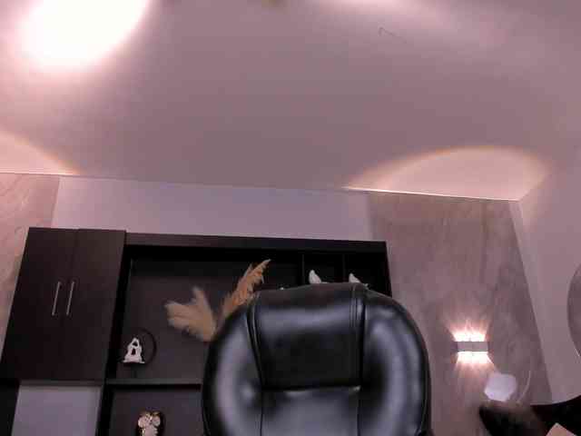 AliceHarper1 webcam