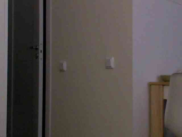 Sashanotfound webcam