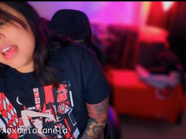 Miacanelaxo's BongaCams show and profile