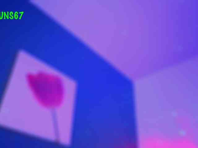Miacanelaxo webcam