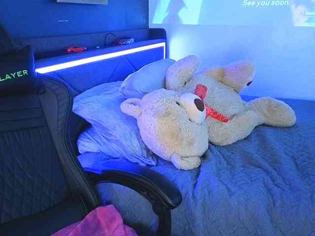 Miacanelaxo webcam