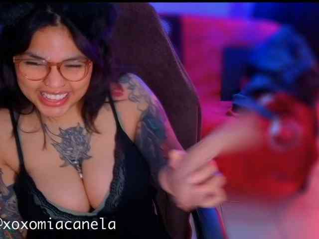 Miacanelaxo Miacanelaxo