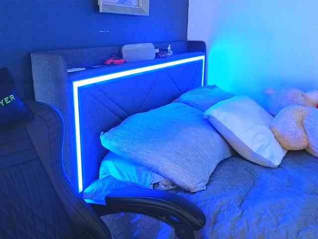Miacanelaxo webcam