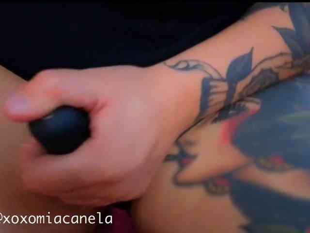 Miacanelaxo Miacanelaxo