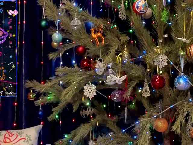 kiskaWEDNESDAY webcam