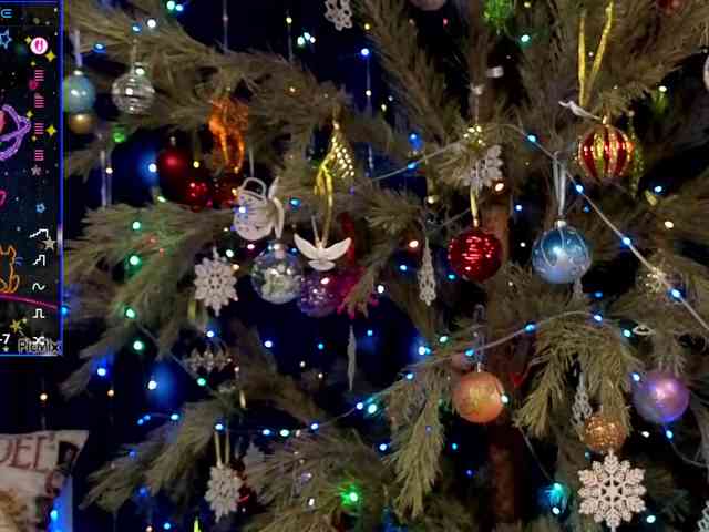 kiskaWEDNESDAY webcam