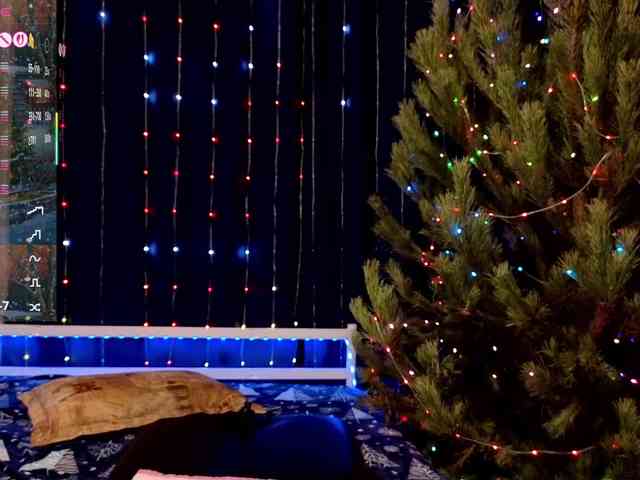 kiskaWEDNESDAY webcam