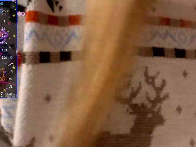 kiskaWEDNESDAY webcam