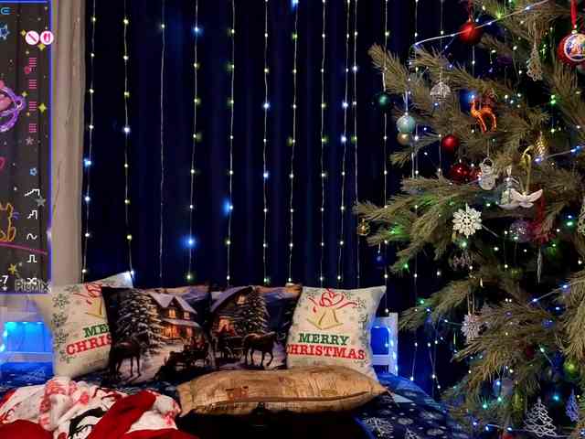 kiskaWEDNESDAY webcam