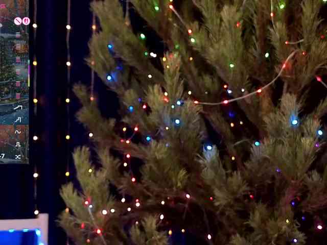 kiskaWEDNESDAY webcam