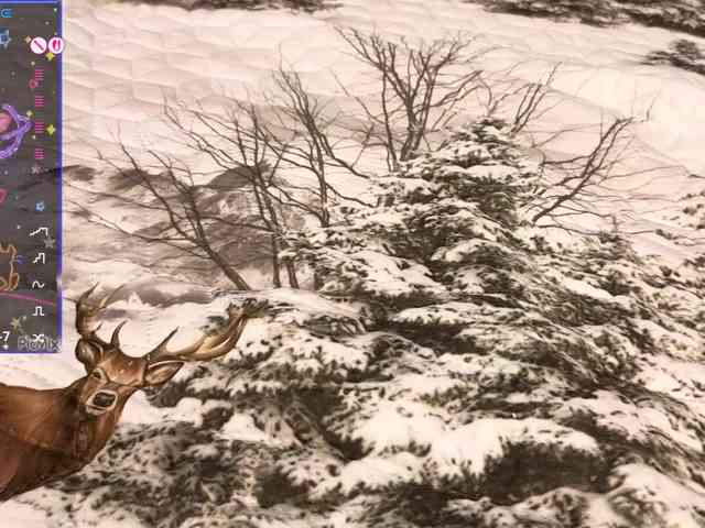 kiskaWEDNESDAY webcam