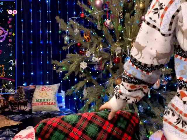 kiskaWEDNESDAY webcam