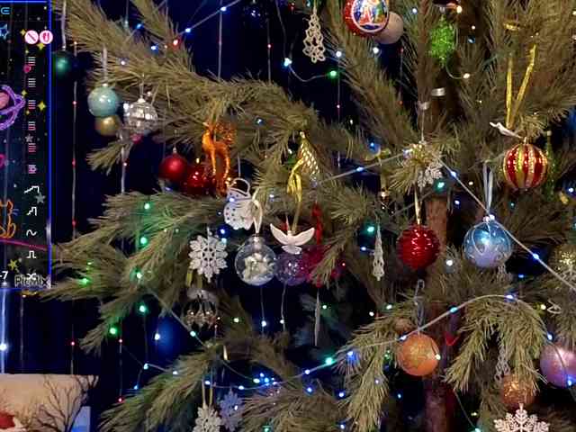 kiskaWEDNESDAY webcam