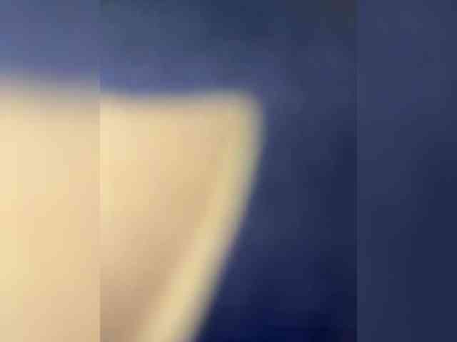 WhiteFox777 webcam