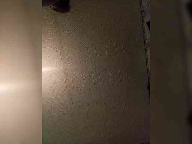 Super-king57 Super-king57