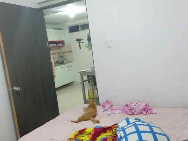 ladydeathz0 ladydeathz0