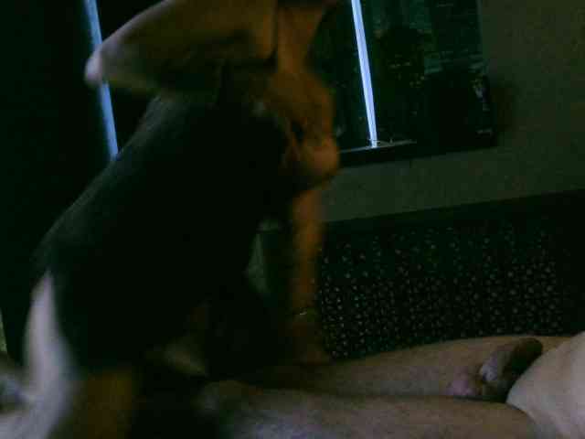free voyeur SofiaSW