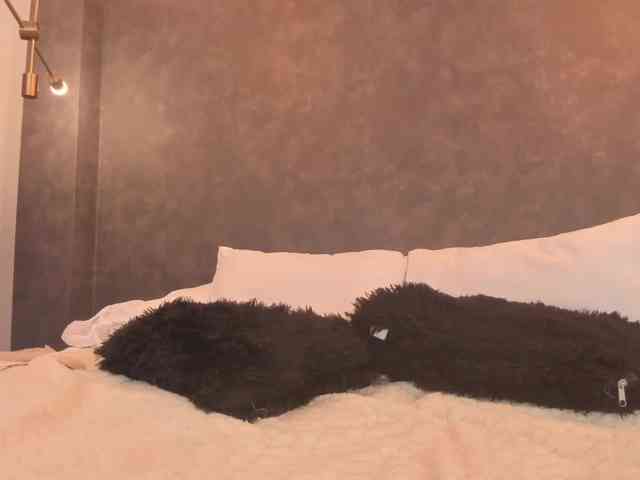 dawa-angels webcam