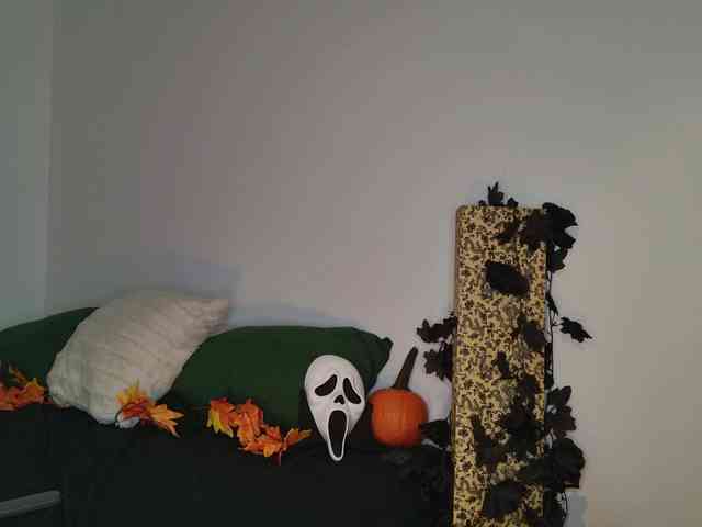 JackDesFeux JackDesFeux