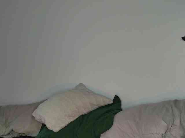 JackDesFeux JackDesFeux