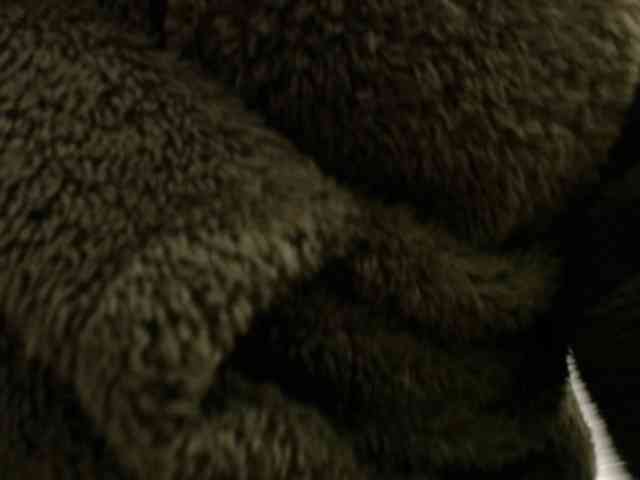 Sweetbarbiie webcam
