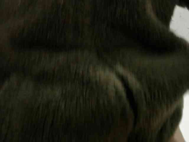 Sweetbarbiie webcam