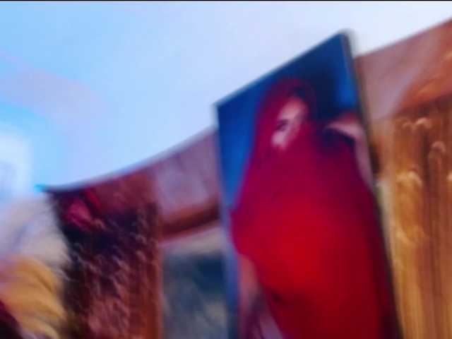 GatuSexx's BongaCams show and profile