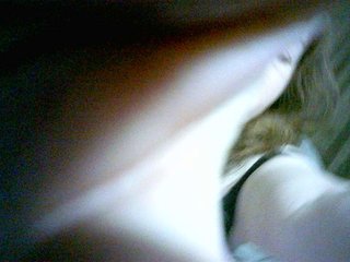 Sadie-Lorri Porn Show