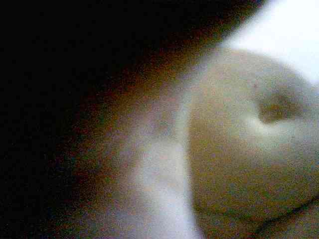 Sadie-Lorri webcam