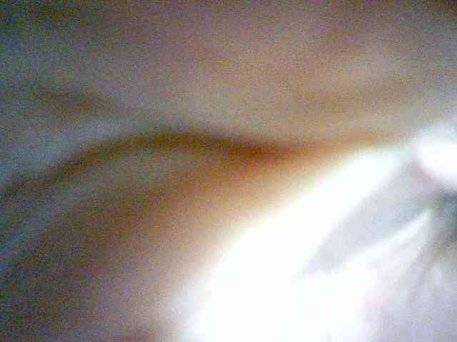 Sadie-Lorri webcam