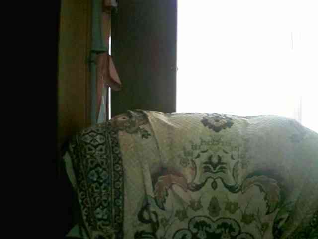 Sadie-Lorri webcam