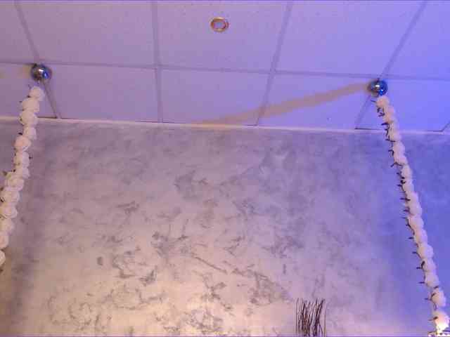 MolyStone webcam