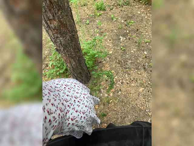 KatyKatS webcam