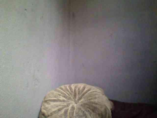 ---kisa25_ webcam