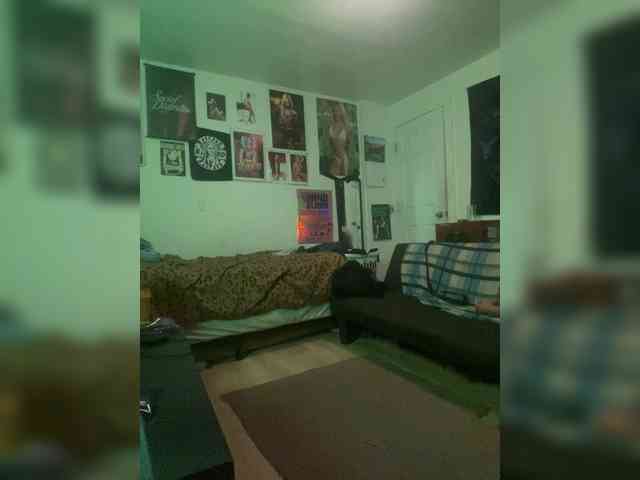 CarmineElectrode1991