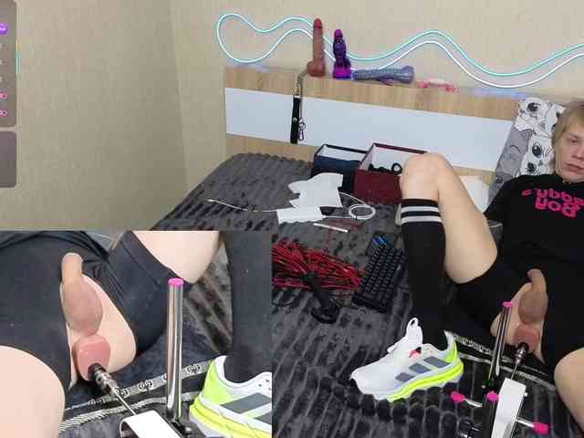 shalomkitty shalomkitty