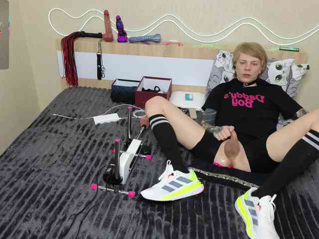 shalomkitty shalomkitty