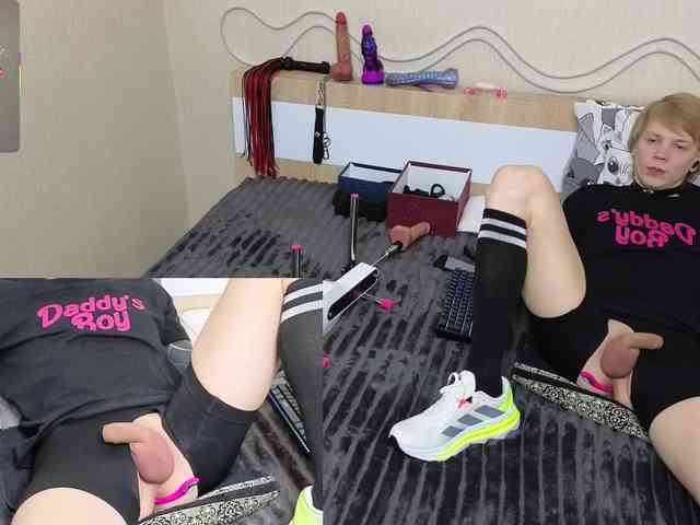 shalomkitty shalomkitty