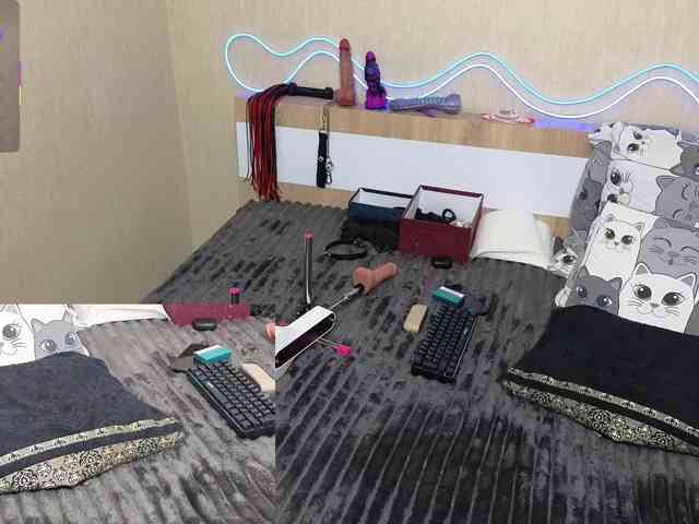 shalomkitty shalomkitty