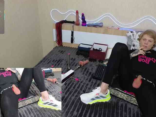 shalomkitty shalomkitty