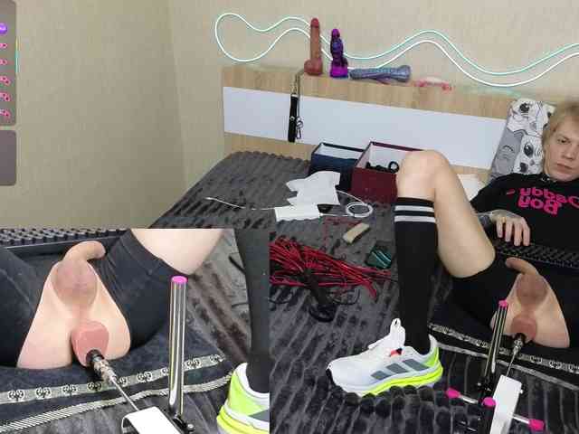 shalomkitty shalomkitty