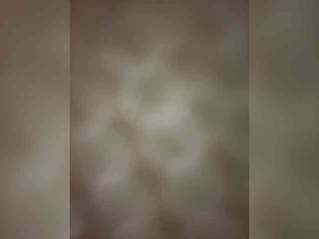 CHERRY-LADY- webcam
