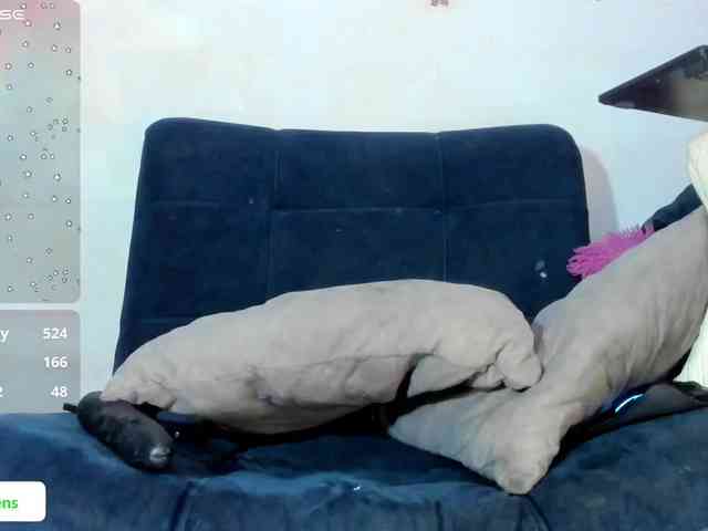 amgeline webcam