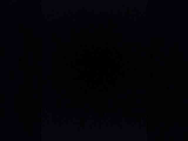 PolinaLike12 webcam