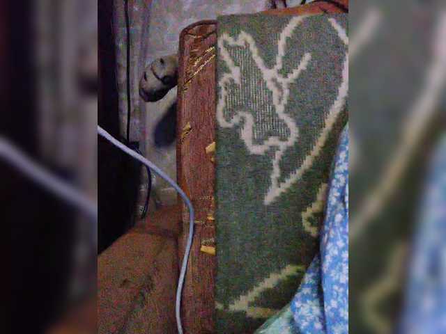 Isabel-LM's BongaCams show and profile