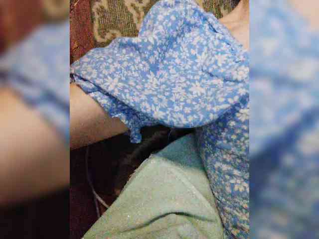 TPAXATb-B-MENU webcam