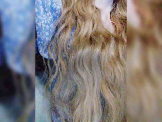 TPAXATb-B-MENU webcam