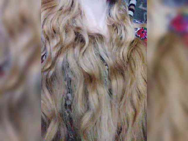 TPAXATb-B-MENU webcam