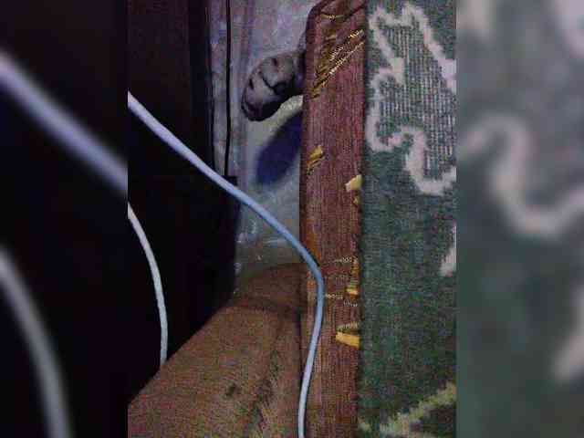 TPAXATb-B-MENU webcam